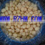 Salted Garlic Segments thumbnail-1
