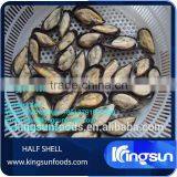 Good Taste Half Shell On Mussels,Mussel Meat thumbnail-1