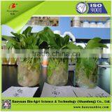 Macroelement Liquid Fertilizer With Citric Acid 150-150-200 thumbnail-2