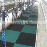Free Sample!!! Interlocking EVA Wall Rubber Mat/flooring thumbnail-1