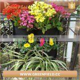 Home Garden Vertical Garden Planter Bags Hydroponic Grow Bags thumbnail-5