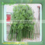 New Style Artificial Bamboo Plant/fake Evergreen Bamboo for Decoration thumbnail-1