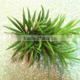 Home and Outdoor Garden Edging Christmas Decoration 60cm or 24inches Height Artificial Small Grass for Green Wall E04 1025 thumbnail-6