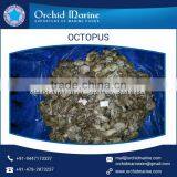 100% Best Quality Frozen Octopus at Lowest Market Price thumbnail-3