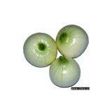 Sell Onion thumbnail-1