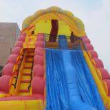 Inflatable Slip and Slide Inflatable Water Slide Axs-06 thumbnail-3
