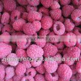 Low Price IQF Spiral Freezer Food Processing Machine thumbnail-3