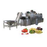 Vegetable Drying Machine