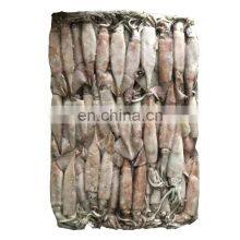 Wild Caught Whole Round Seafrozen Todarodes Pacificus Squid for Export and Wholesale