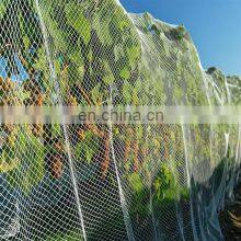 Manufacture plants corps fruit trees cover 32 mesh 55 grams  greenhouse anti-insect net for garden net