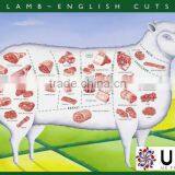 Halal Lamb / Halal Mutton thumbnail-1