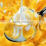 Extruder Food Machine for Corn Flakes Production Process thumbnail-2