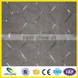 Weave Mesh Type and Hexagonal Hole Shape Hexagonal Wire Mesh for Zoo Bird Cages thumbnail-5
