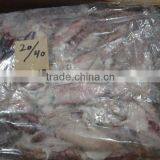 FROZEN LOLIGO SQUID thumbnail-6