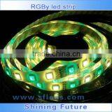 Dream Color Strip 60pcs 5050 Rgbw Led Stripe IP20 IP65