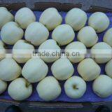 Fresh Golden Apple thumbnail-1