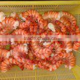 Zhoushan Ship Frozen Marsupenaeus Japonicus (shrimp Kind) thumbnail-3