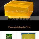 Mouse Glue Board Hot Melt Glue