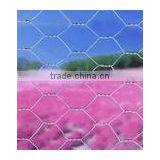 Hexagonal Wire Mesh
