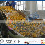 Fruit Cleaning Machine