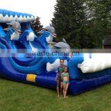 Hola Giant Dolphin Inlfatable Water Slide for Sale thumbnail-1