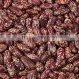 Chinese Purple Speckled Kidney Bean thumbnail-1