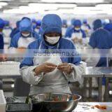 Qingdao LSXY Imp. & Exp. Co., Ltd. company overview - view 1 thumbnail