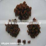 AAA Grade 95% Xinjiang Brown Raisin thumbnail-4