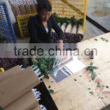 Natural Rose Flower thumbnail-4