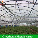 China Factory Direct Sale Multi-span uv Poly Greenhouse thumbnail-3
