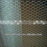 galvanized hexagonal mesh wire