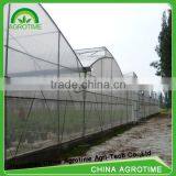 Top Ventilation Butterfly Greenhouse for Sale thumbnail-1