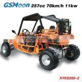 Powerfull New 250cc EEC go Kart With CVT System thumbnail-4