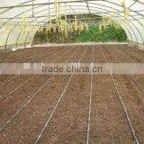 Simple Structure Tunnel Greenhouse For Vegetables/Flowers/Fruits thumbnail-4