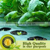 Protective PP Ground Cover thumbnail-2