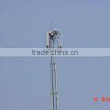 Fiberglass Decorative Antenna Radome