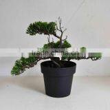 SJ0301125 Guangzhou Shengjie Artificial Plant Wholesale Cypress Bonsai Tree thumbnail-1