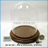 Mouth Blown Modern decoration Glass Globe customized flower clear glass display dome