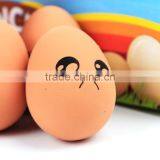 Spot Wholesale Pet Egg Shaped Elastic Rubber Ball Funny Expression Chew Toy Ball 4*5.6cm thumbnail-3