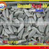 FROZEN HGT ROUND SCAD thumbnail-1