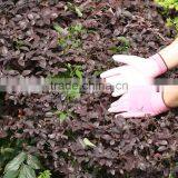 NMSAFETY 13g PU Gloves Nylon Liner Pink PU Safety Work Gloves thumbnail-1