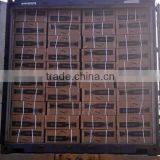 Elastic Ball Bungee Loop thumbnail-6