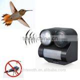 New PIR Sensor Birds Repeller Sound Gunshot Flashlight 80 Square Meters for Birds Repelling Pest Control Garden Supplies thumbnail-2