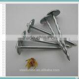 Roofing Nails Umbrella Head/Galvanized Roofing Nails Price/Roofing Nails thumbnail-4