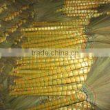 Natural Tiger Grass Broom thumbnail-3