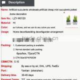 Cheap Artificial Bonsai Plants Fake Mini Bonsai Wholesale High Quality Artificial Bonsai thumbnail-2