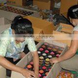 Delphinux Systems Co., Ltd. company overview - view 1 thumbnail