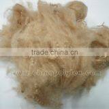 1.2d Black Vergin Psf thumbnail-3