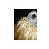 Pre-bonded Hair thumbnail-1