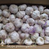 4.5-5cm, 5.5cm-6cm Ajo Blanco Normal Fresco Chino Con Embalaje Cajas de Cartón thumbnail-3